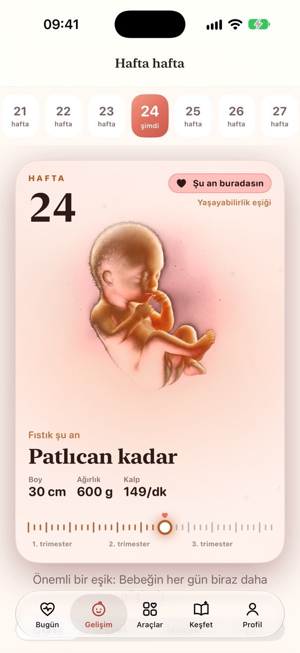 Gelişim ekranı: 24. hafta, patlıcan kadar